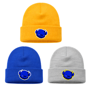 BBA ColdZone Cuffed Beanie