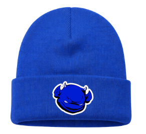 BBA ColdZone Cuffed Beanie