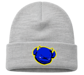 BBA ColdZone Cuffed Beanie